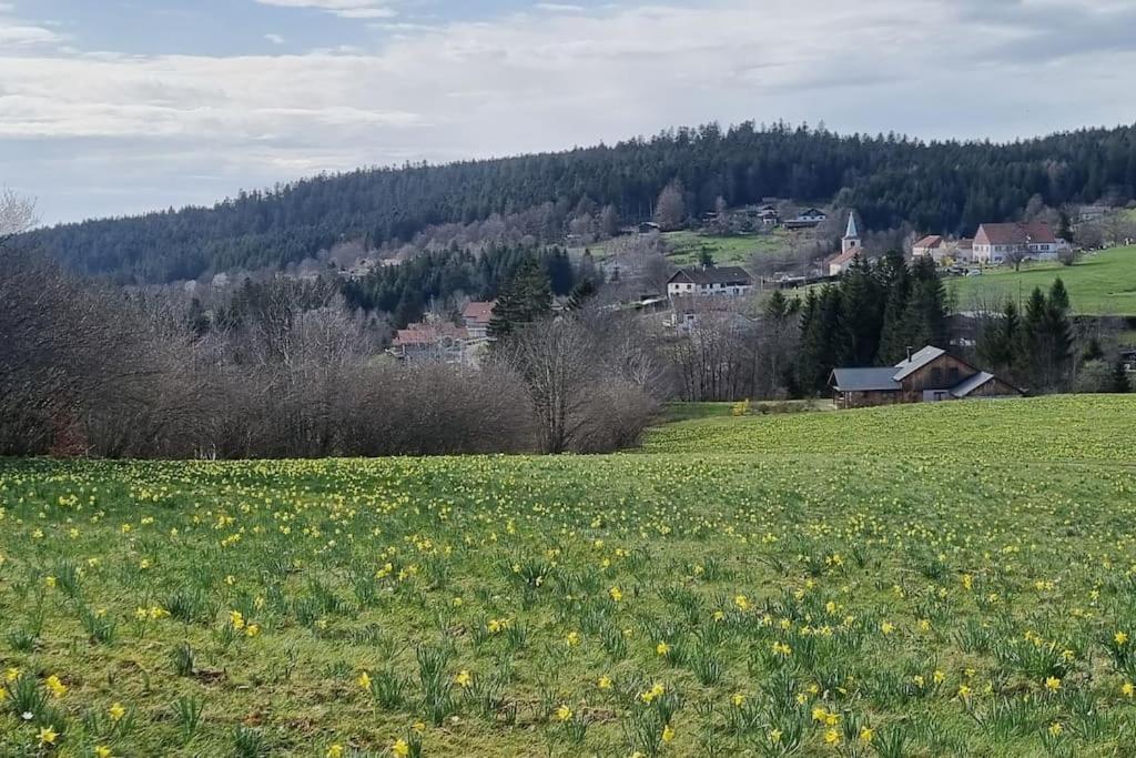 Liézey Le Grenier De Jules Et Marguerite 빌라 외부 사진